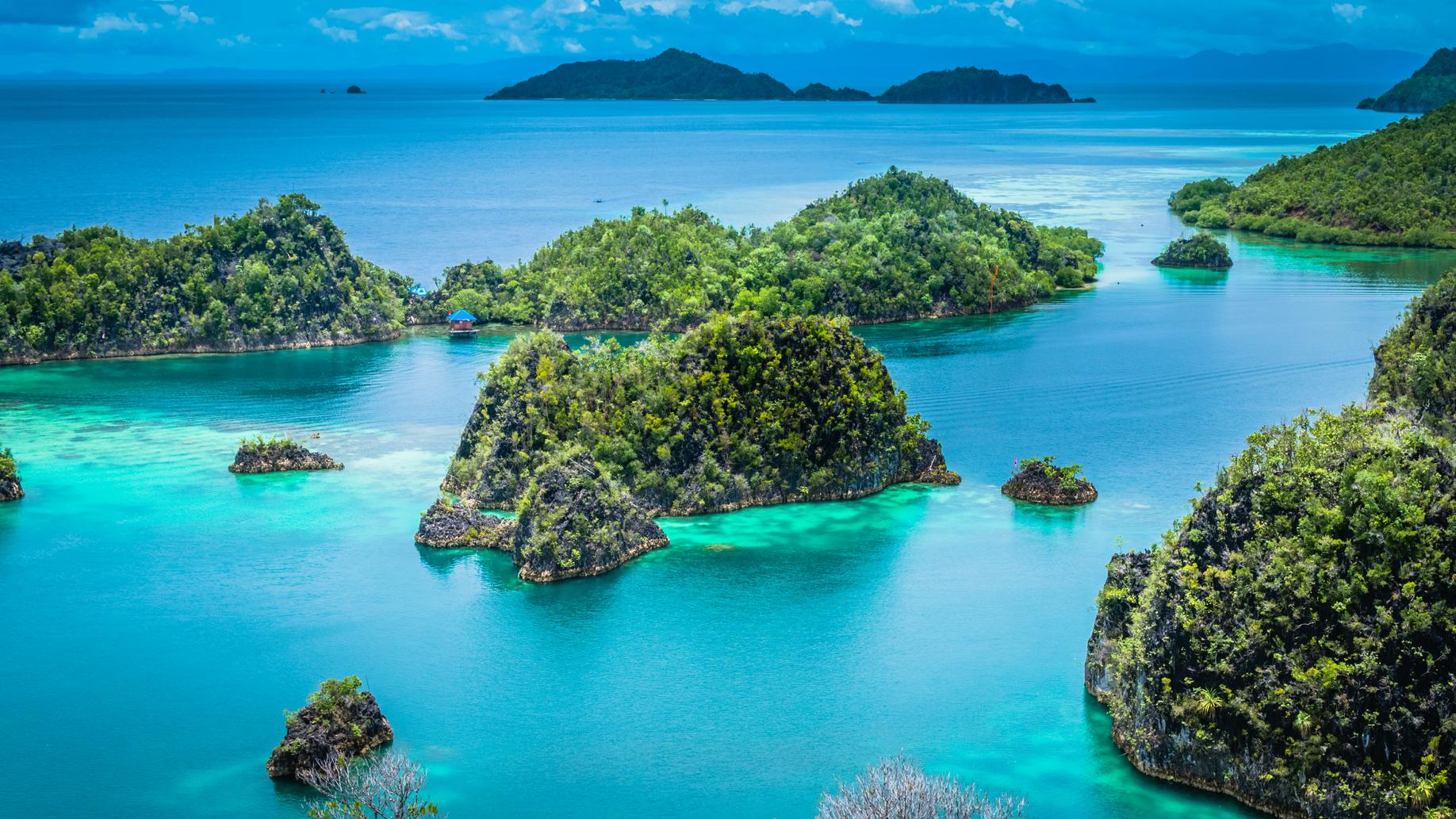 Raja Ampat, or Four Kings, is an island archipelago in New Guinea, Indonesia. 