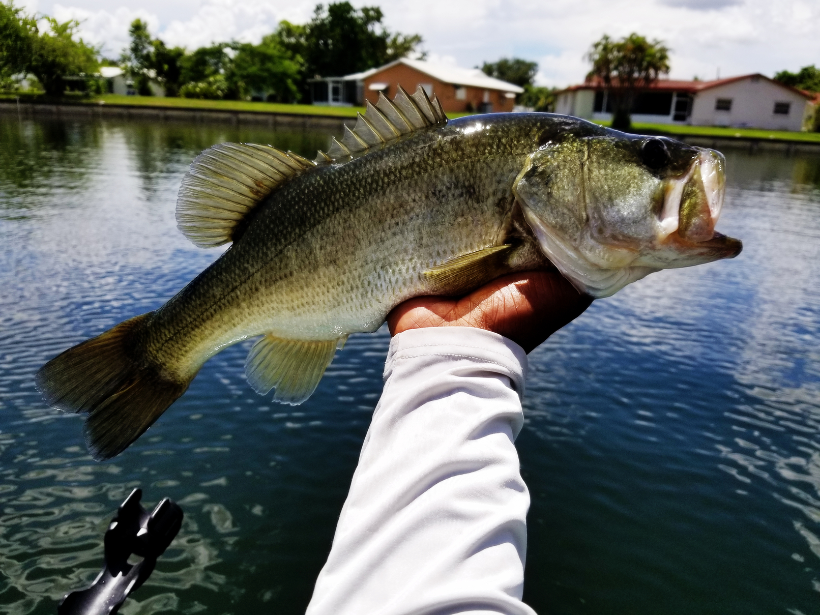 Fishing Techniques: The Beginner's Guide To Trolling