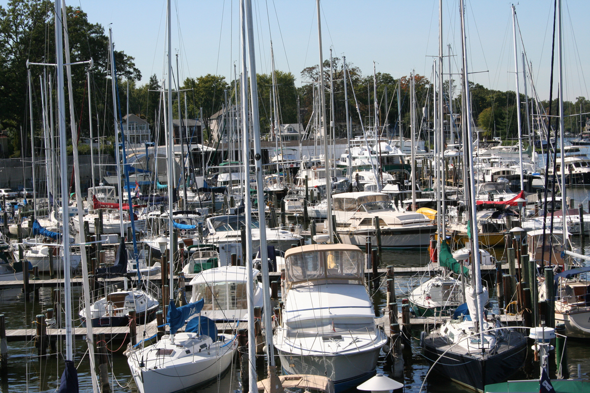 boats in a crowded marina